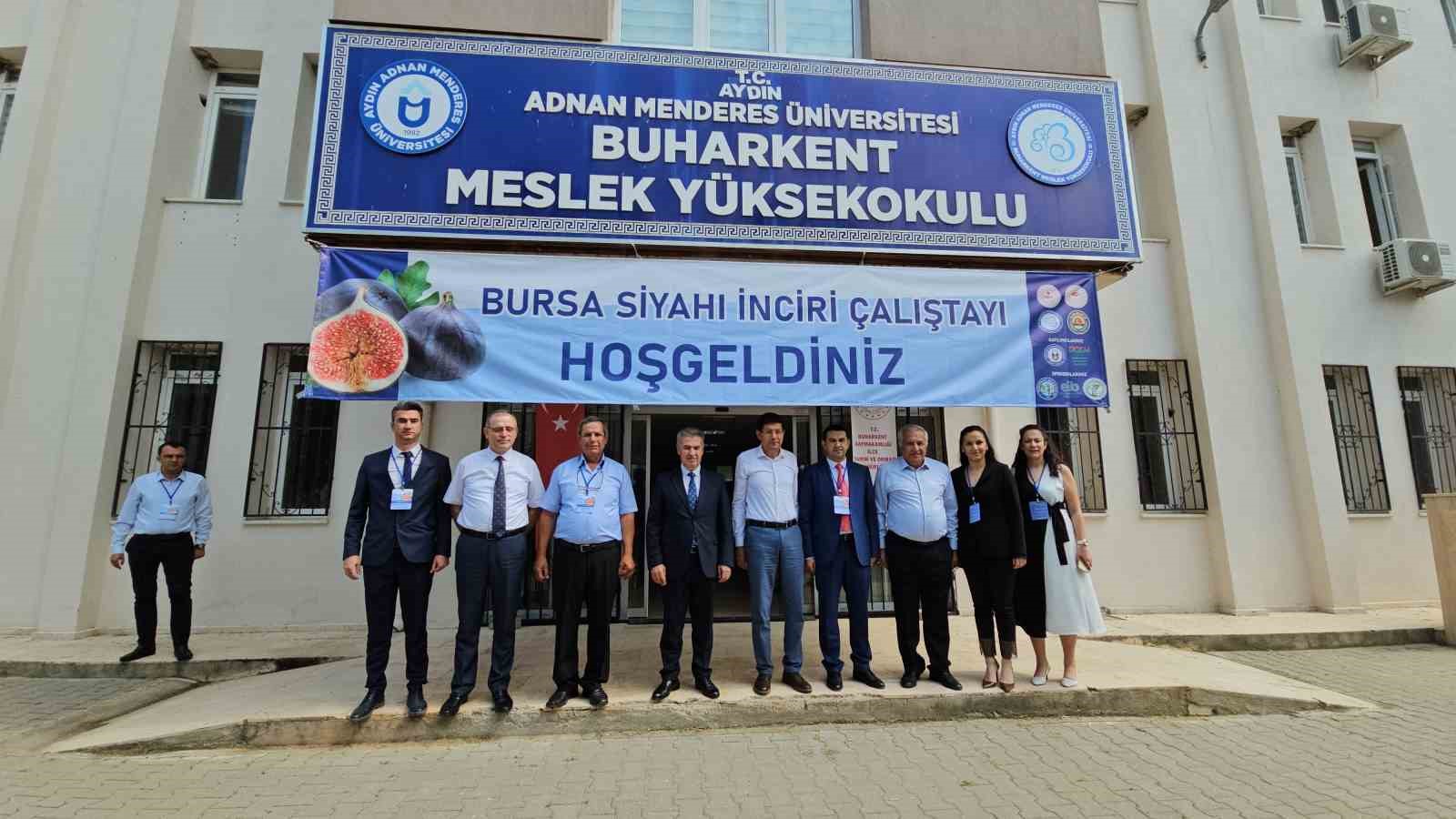 TAZE İNCİRDE ERKENCİLİĞİ İLE BUHARKENT RAKİP TANIMIYOR SARI LOP İNCİRİNİN