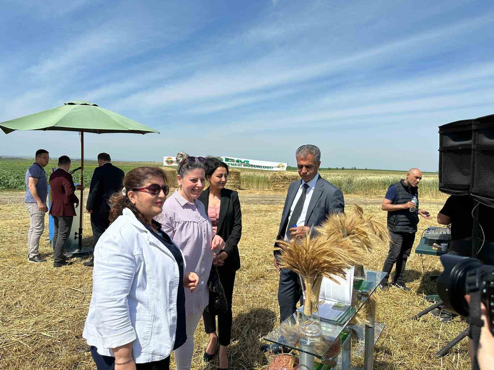 TARIM İŞLETMELERİ GENEL MÜDÜRLÜĞÜ (TİGEM) TÜRKGELDİ TARIM İŞLETMESİ LÜLEBURGAZ ÇİFTLİĞİNDE,