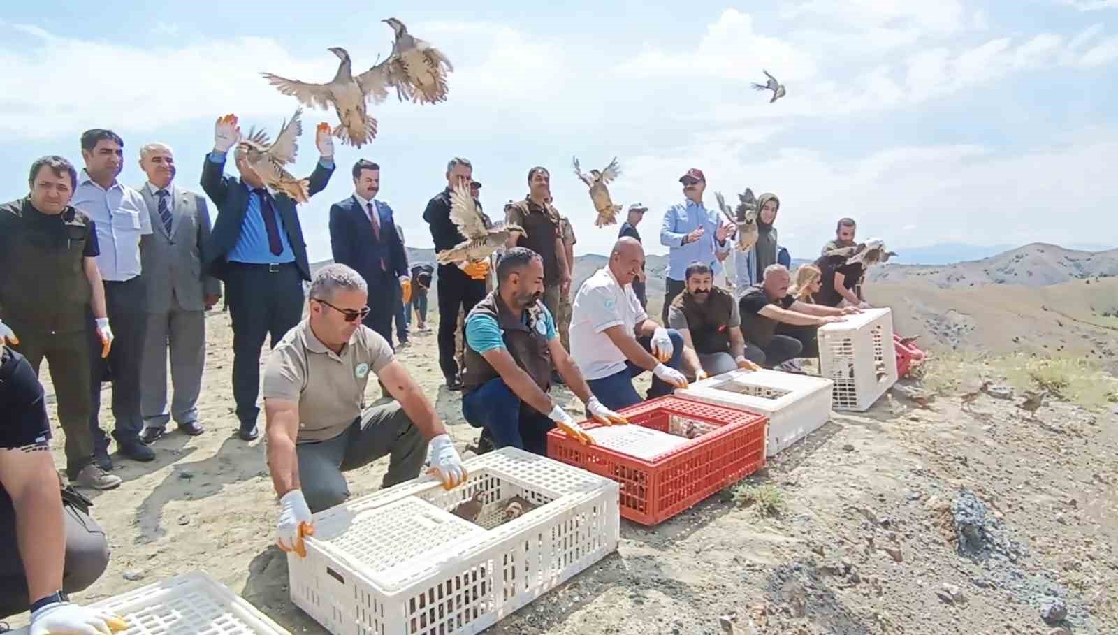 TUNCELİ’DE YABAN HAYATININ DESTEKLENMESİ, SÜNE VE KIMIL GİBİ ZARARLILARLA MÜCADELE