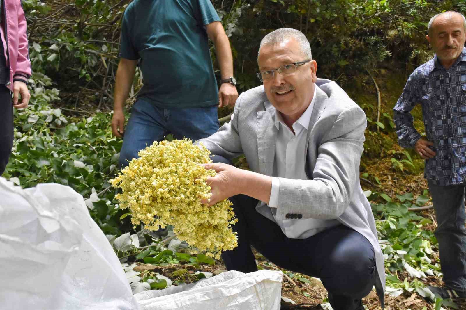 KARACABEY BELEDİYE BAŞKANI ALİ ÖZKAN, SAHİL BÖLGESİNDE YAPTIĞI ZİYARETLERDE HASAT