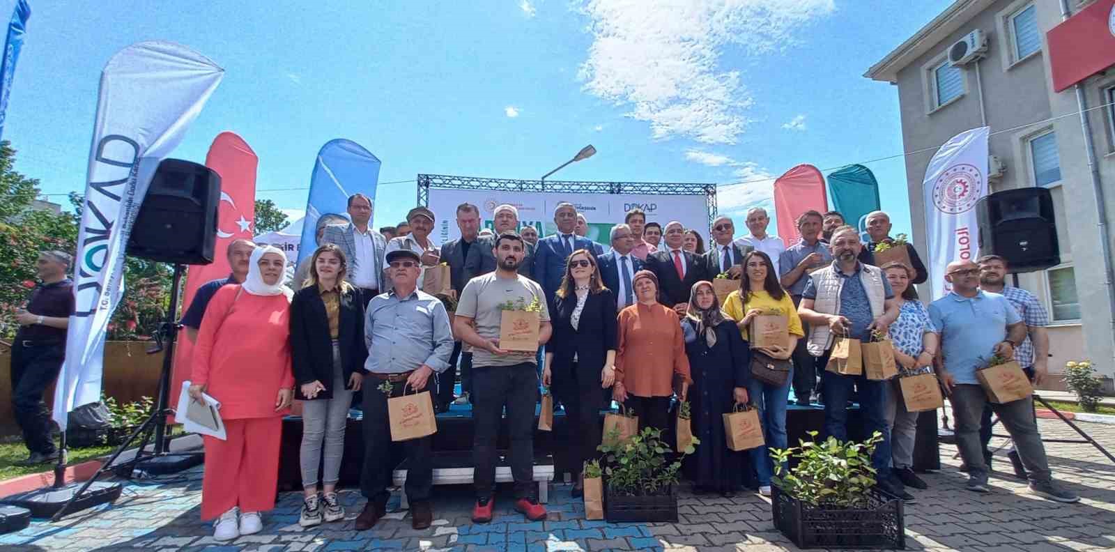 SAMSUN'UN ÇARŞAMBA İLÇESİNDE ÜRETİCİLERE TEK SEFERDE HASAT YAPILABİLEN, ZENGİN BİYOKİMYASAL