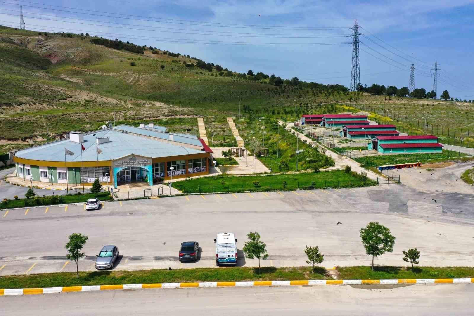 VAN BÜYÜKŞEHİR BELEDİYESİ HAYVAN BAKIM VE REHABİLİTASYON MERKEZİNDE 2023 YILININ