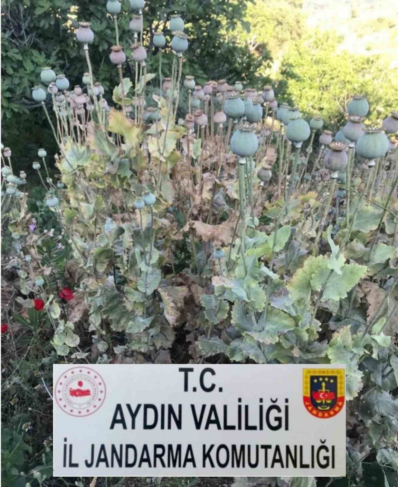 YASADIŞI EKİME JANDARMA BASKINI