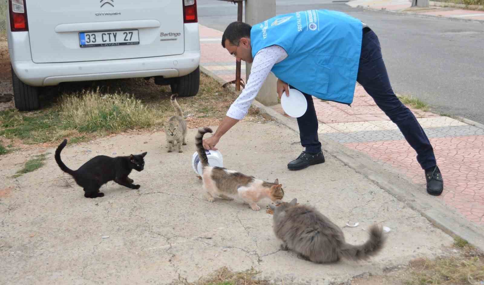 MERSİN ÜNİVERSİTESİ (MEÜ) YERLEŞKESİNDE BULUNAN 7 BİN 500 METREKARELİK ALANI