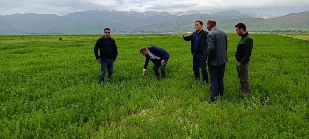 HAKKARİ’NİN YÜKSEKOVA TARIM VE ORMAN MÜDÜRLÜĞÜ EKİPLERİ, OVADA ÇEKİRGELERLE İLGİLİ