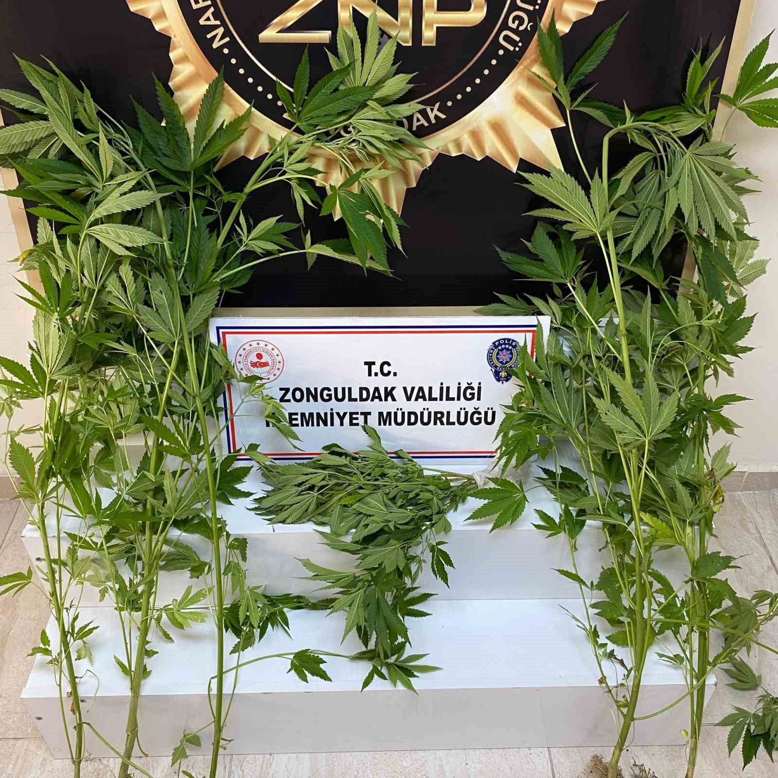 ZONGULDAK'TA NARKOTİK SUÇLARLA MÜCADELE MÜDÜRLÜĞÜ EKİPLERİ TARAFINDAN YAPILAN OPERASYONDA 3