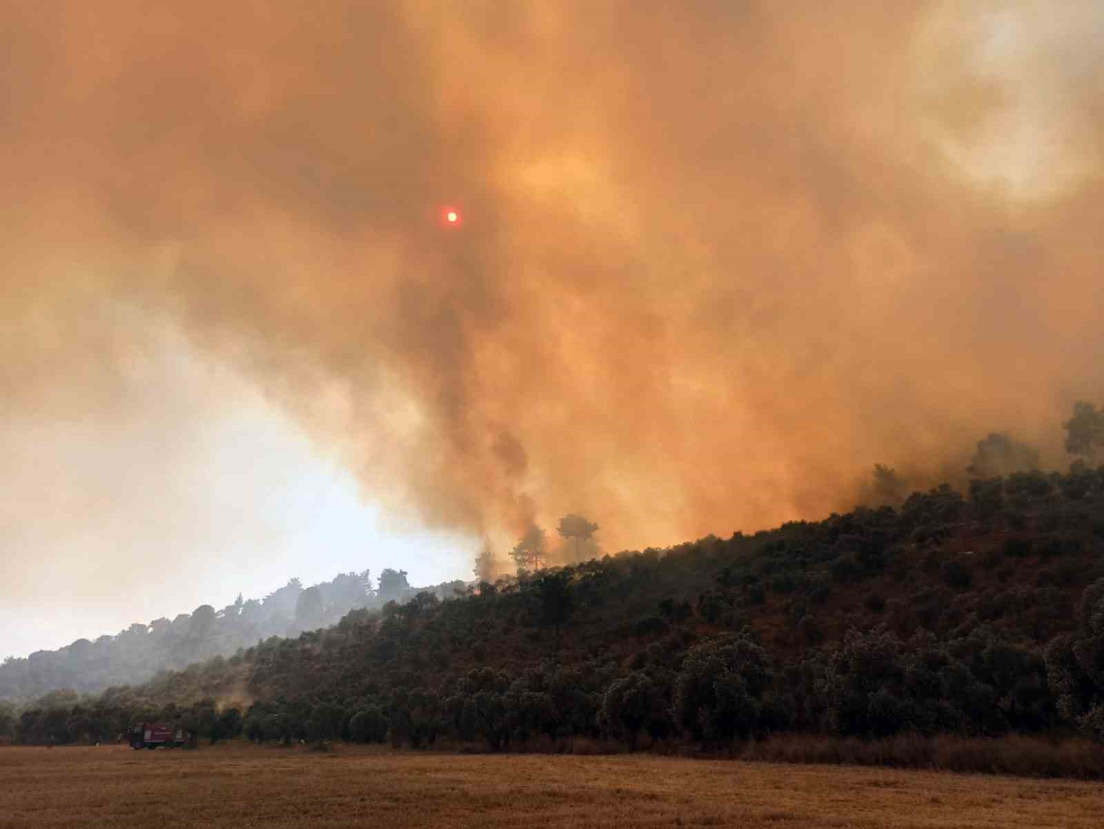 160 hektar alanı torpille yaktı 14 TEMMUZ SAAT 14.42’TE MİLAS-BODRUM HAVALİMANI KAVŞAĞINDA YOL KENARINDAKİ OTLARIN