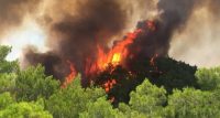 Orman yangınlarıyla ilgili 7 şüpheli belirlendi