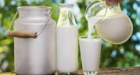 1 Ağustos’tan itibaren geçerli olmak üzere çiğ süt tavsiye fiyatı