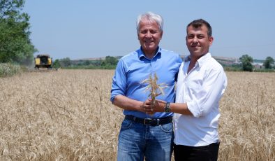 Susurluk’ta 13 ton ata tohumu hasadı