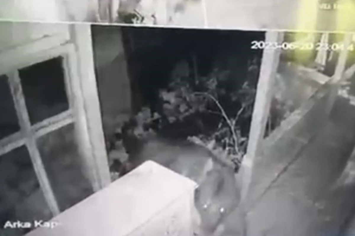 Eve girmeye çalışan ayı güvenlik kamerasına yansıdı Artvin’in Şavşat ilçesinde aç kayan ayı köy evine girmeye çalıştı.