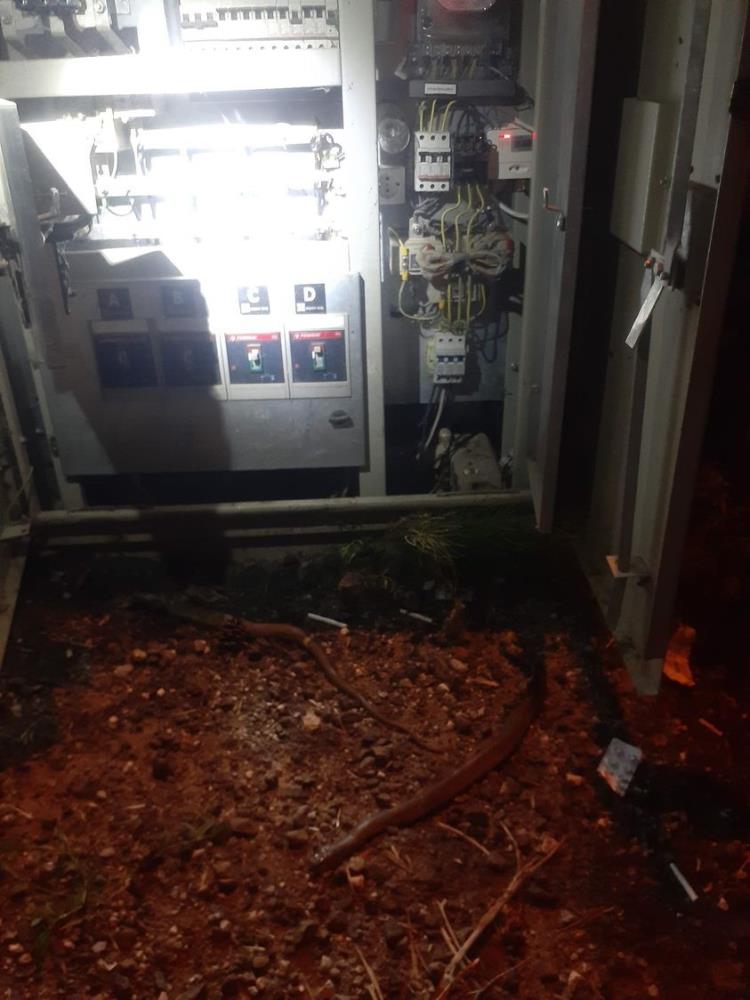 Kastamonu’da iki farklı köyde bulunan enerji hattına giren yılanlardan dolayı