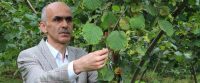 Giresun Ziraat Odası Başkanı Nurittin Karan, fındık hasadına günler kala
