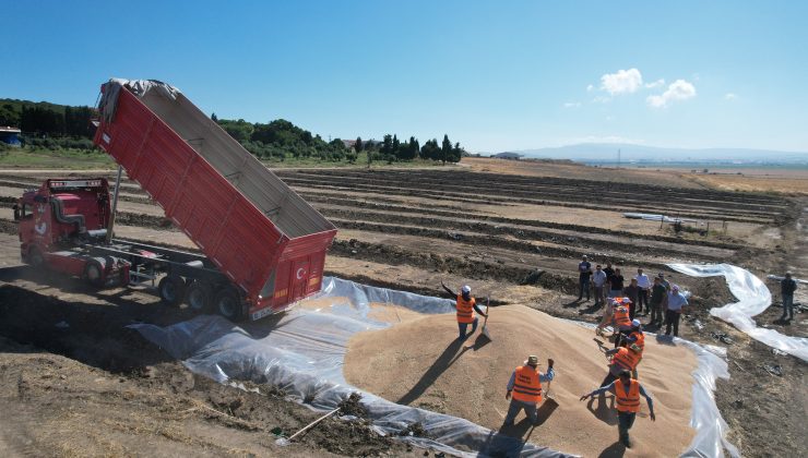 Çiftçinin tüm mahsulünü TMO alacak