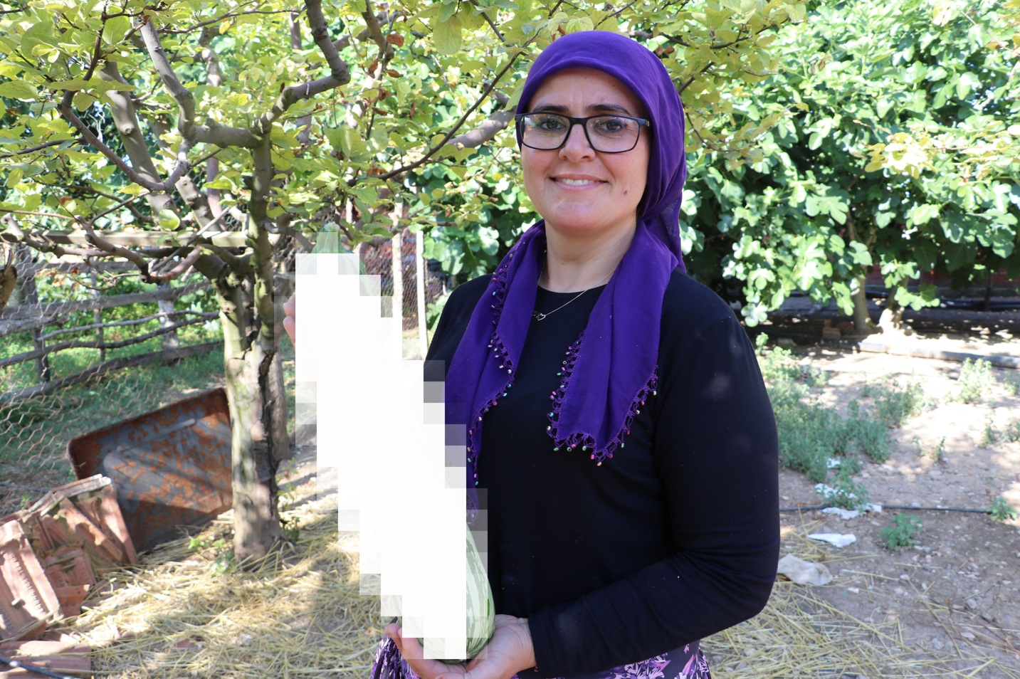 Amasya’nın Taşova ilçesinde yetişen 70 santim uzunluğundaki kabak, görenleri şaşkına çevirdi.Taşova’nın