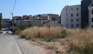 Boş arsadaki otlar haşere yayıyor