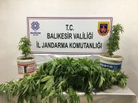 Balıkesir İl Jandarma Komutanlığınca, uyuşturucu madde imal ve ticaretine yönelik