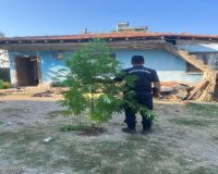Balıkesir İl Jandarma Komutanlığınca kaçakçılık ve organize suç olaylarına yönelik