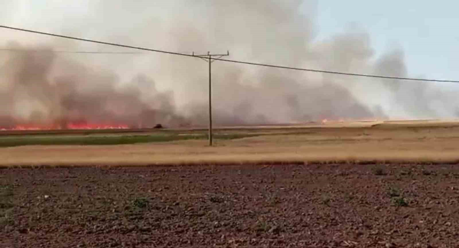 ANKARA’NIN HAYMANA İLÇESİNDE BİR ARAZİDE ÇIKAN TARLA YANGININDA 500 DÖNÜM