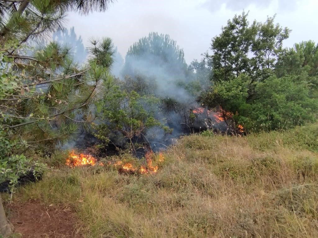 ARAZİYE YILDIRIM DÜŞTÜ, YANGIN MEYDANA GELDİ