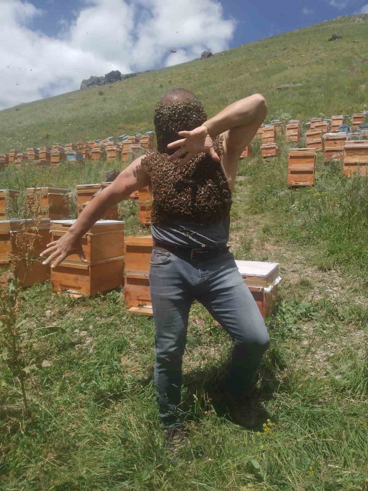 Arıcıdan ‘yok artık’ dedirten görüntüler KARSLI ARICI, ADETA SINIRLARI ZORLADI. BİNLERCE KAFKAS ARISINI VÜCUDUNA ALAN