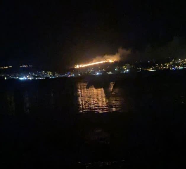 BALIKESİR’İN AYVALIK İLÇESİ ŞEHİR MERKEZİ YAKINLARINDA CENNET TEPESİ’NDE ÇIKAN OTLUK