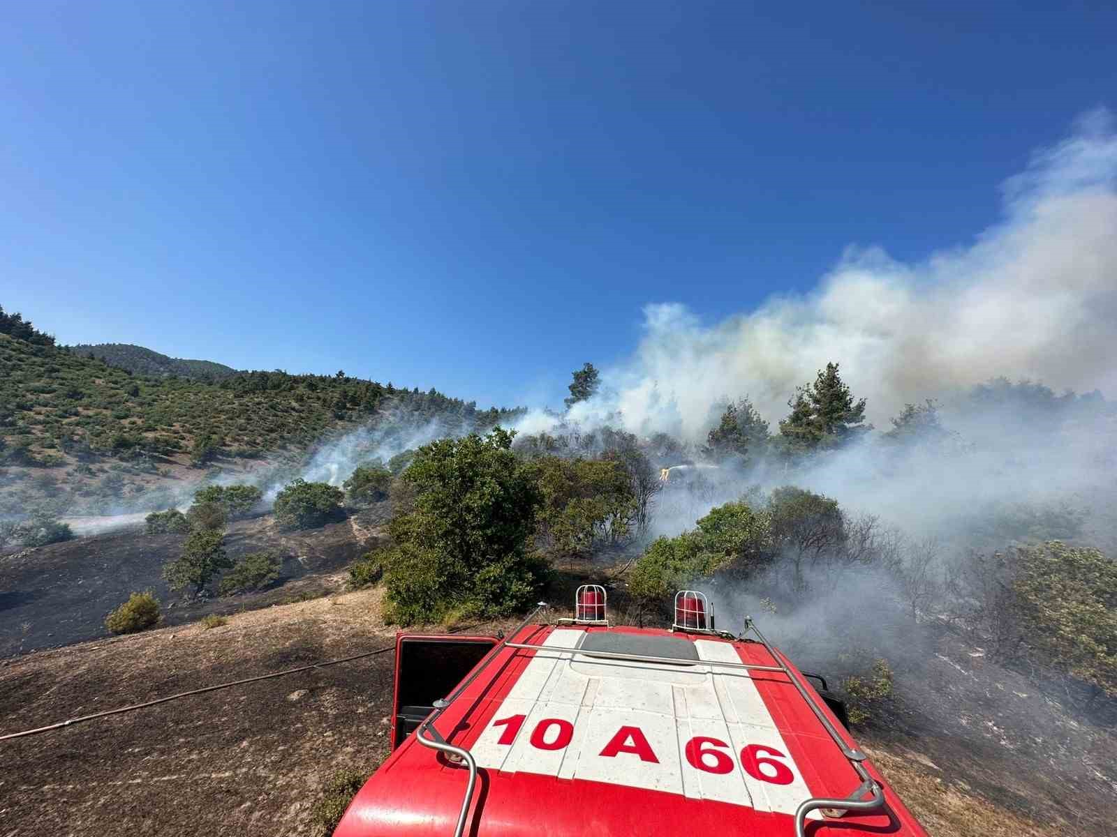 BALIKESİR İLE KÜTAHYA ARASINDA ORMAN YANGINI BAŞLADI