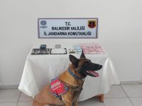 BALIKESİR'DE JANDARMADAN 15 ŞAHSA UYUŞTURUCU OPERASYONU