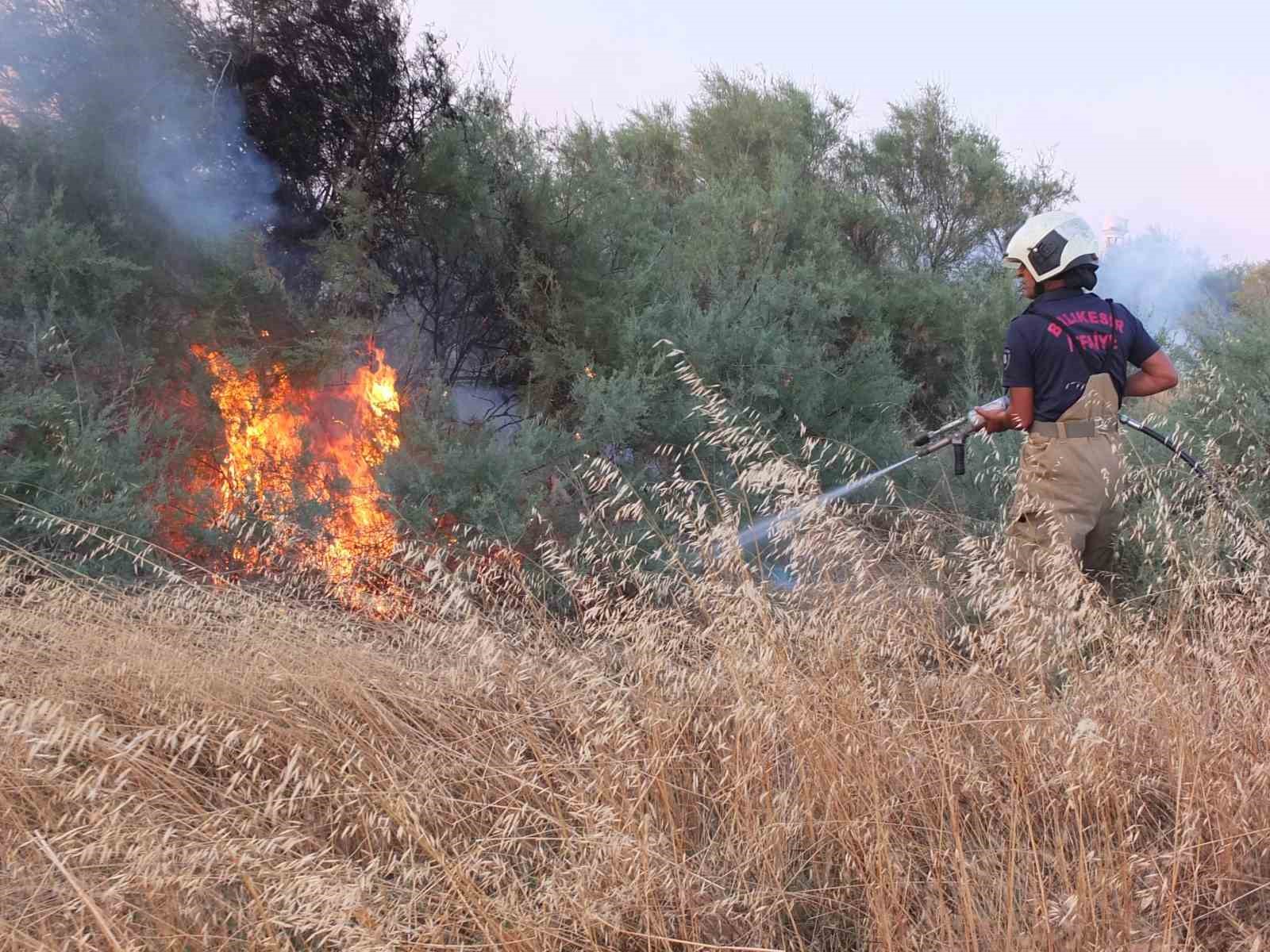 BURHANİYE İLÇESİNDE, BİR KARGANIN ELEKTRİK TELLERİNE DEĞMESİ SONUCU OLUŞAN KIVILCIMDAN