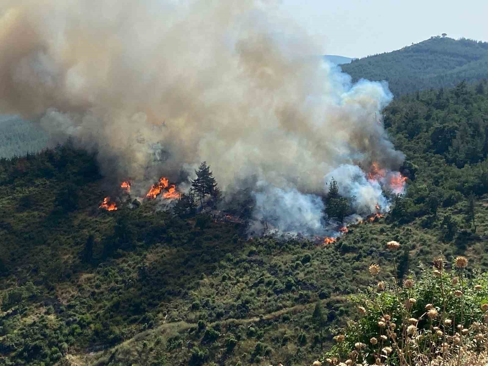 Balıkesir’de orman yangını BALIKESİR (İHA) - BALIKESİR'İN DURSUNBEY İLÇESİ KIRSALINDA ORMAN YANGINI BAŞLADI.