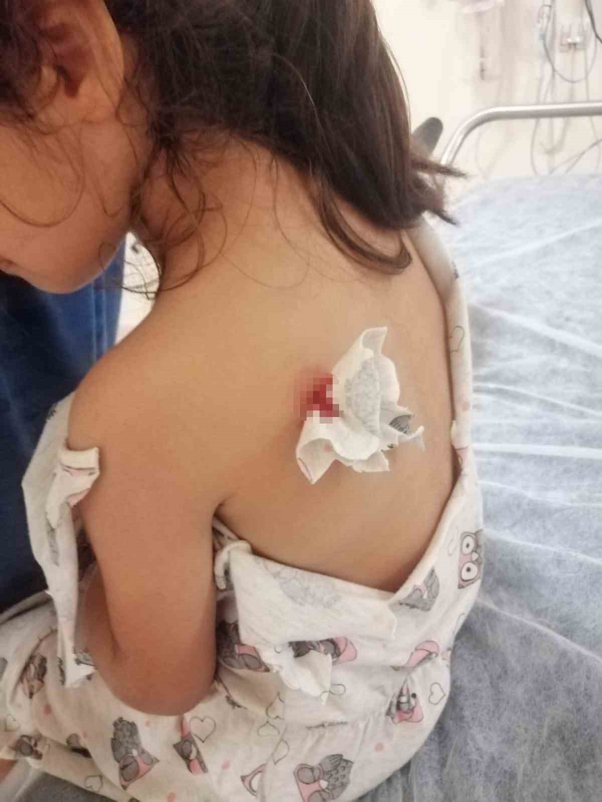 CANAN ERGÜN, “İNSANLAR ZEVKLERİ İÇİN SİLAH SIKMASINLAR. BİR KUTLAMA YAPARKEN