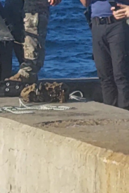 İSTANBUL BOĞAZI SARIYER KİREÇBURNU AÇIKLARINDA BİR BALIKÇININ SALYANGOZ AVLARKEN BOMBAYA