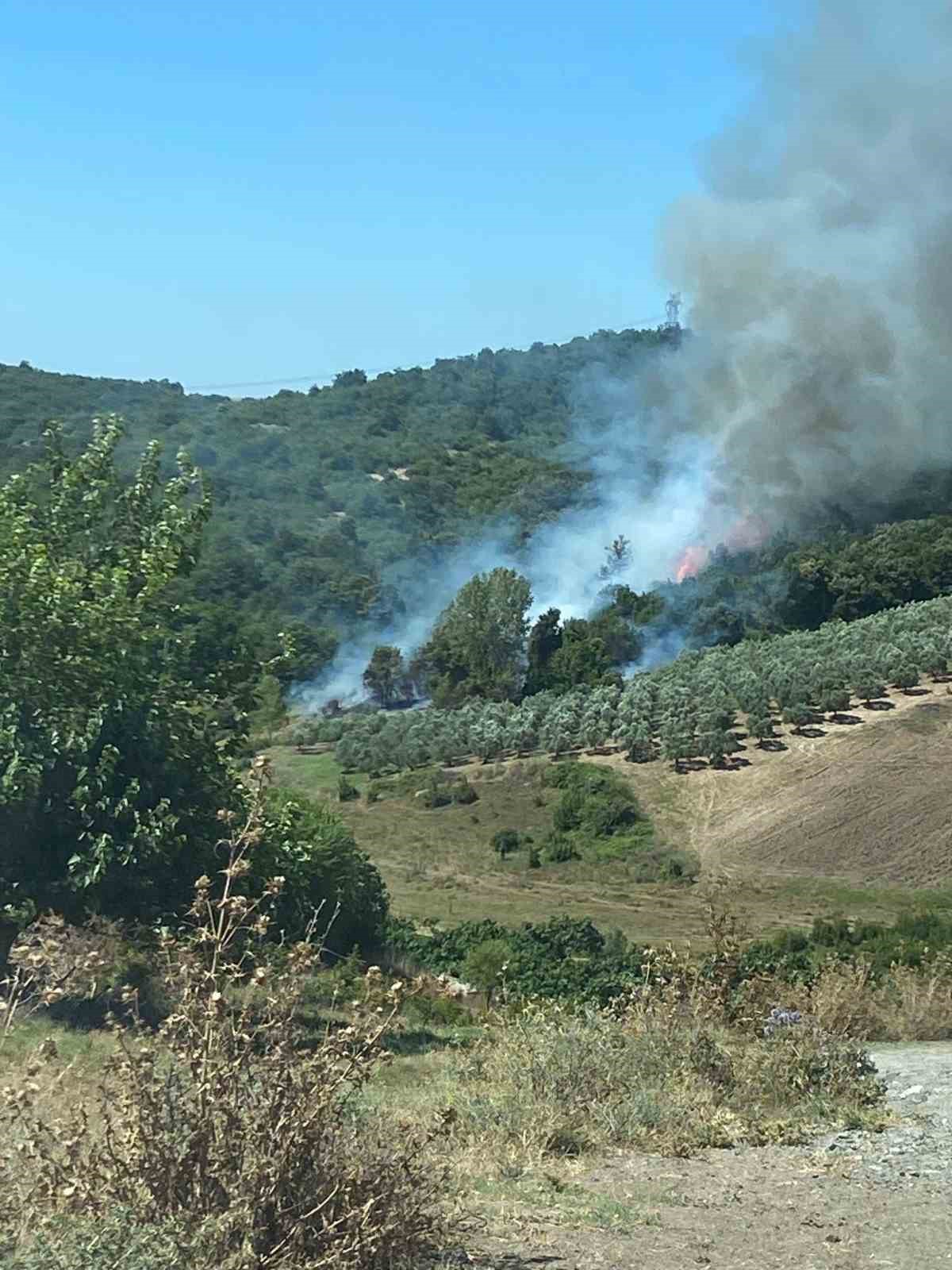BURSA'DA MALİK ALANDA ÇIKAN YANGIN, ANINDA MÜDAHALE İLE KISA SÜREDE