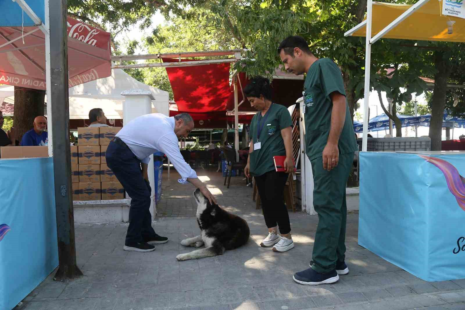 BÜYÜKÇEKMECE BELEDİYESİ SAĞLIK İŞLERİ MÜDÜRLÜĞÜ VETERİNER ŞEFLİĞİ EKİPLERİ İLÇE GENELİNDE
