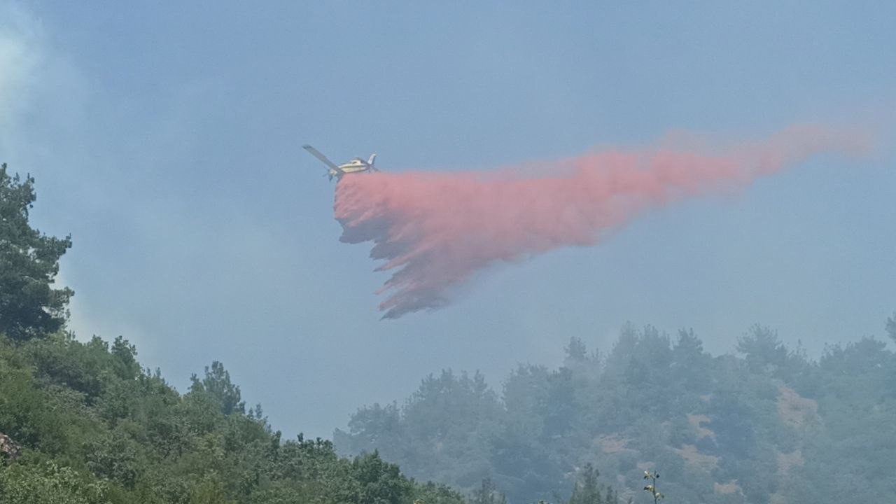ÇANAKKALE’DE 3 GÜN ÖNCE ÇIKAN ORMAN YANGININI KONTROL ALTINA ALMA