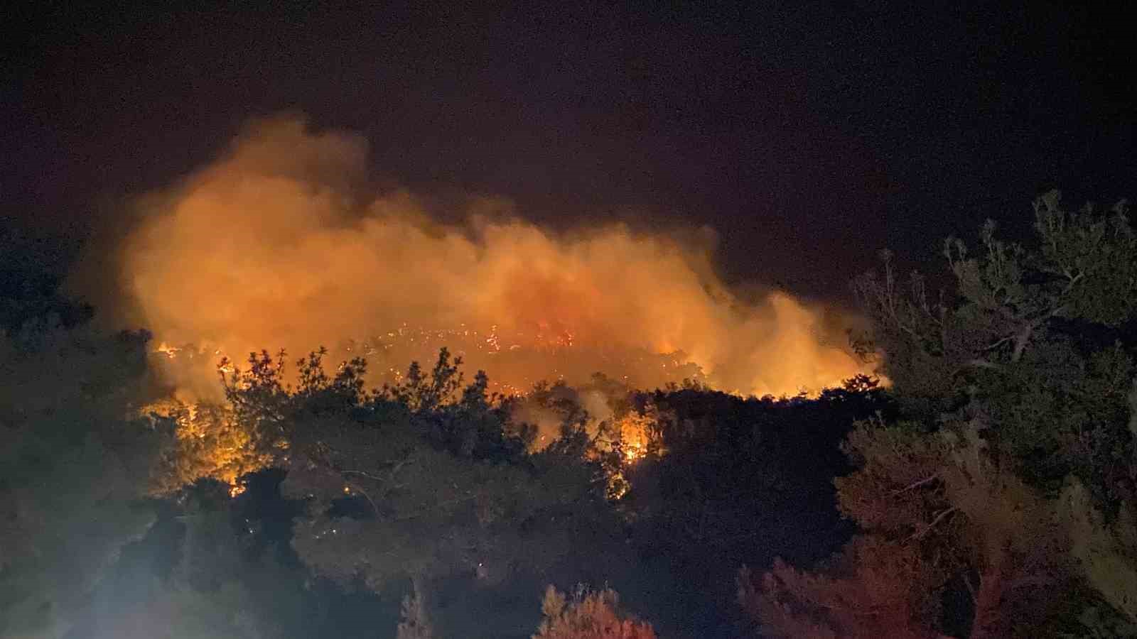 ÇANAKKALE MERKEZE BAĞLI SARIBEYLİ KÖYÜNDE YAKINLARINDA SAAT 22.30 SIRALARINDA ORMANLIK