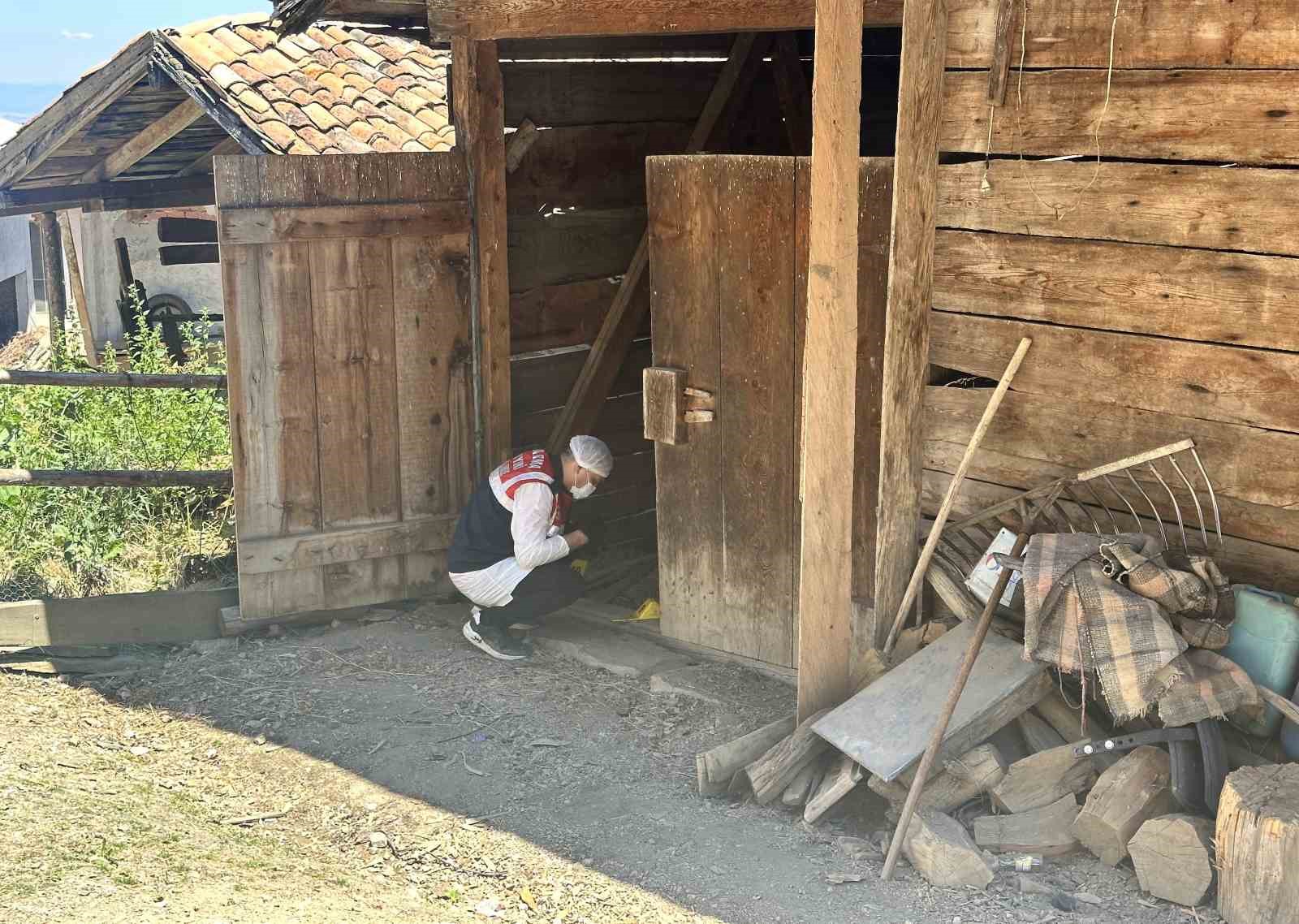 KASTAMONU’DA ÇUVAL İÇERİSİNE KONULARAK