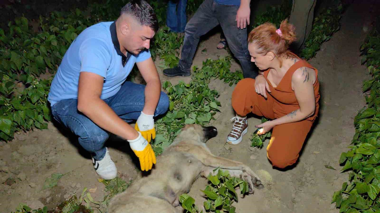 BURSA'NIN İNEGÖL İLÇESİ MESUDİYE MAHALLESİNDE MEYDANA GELEN OLAYDA 2 ŞAHSIN