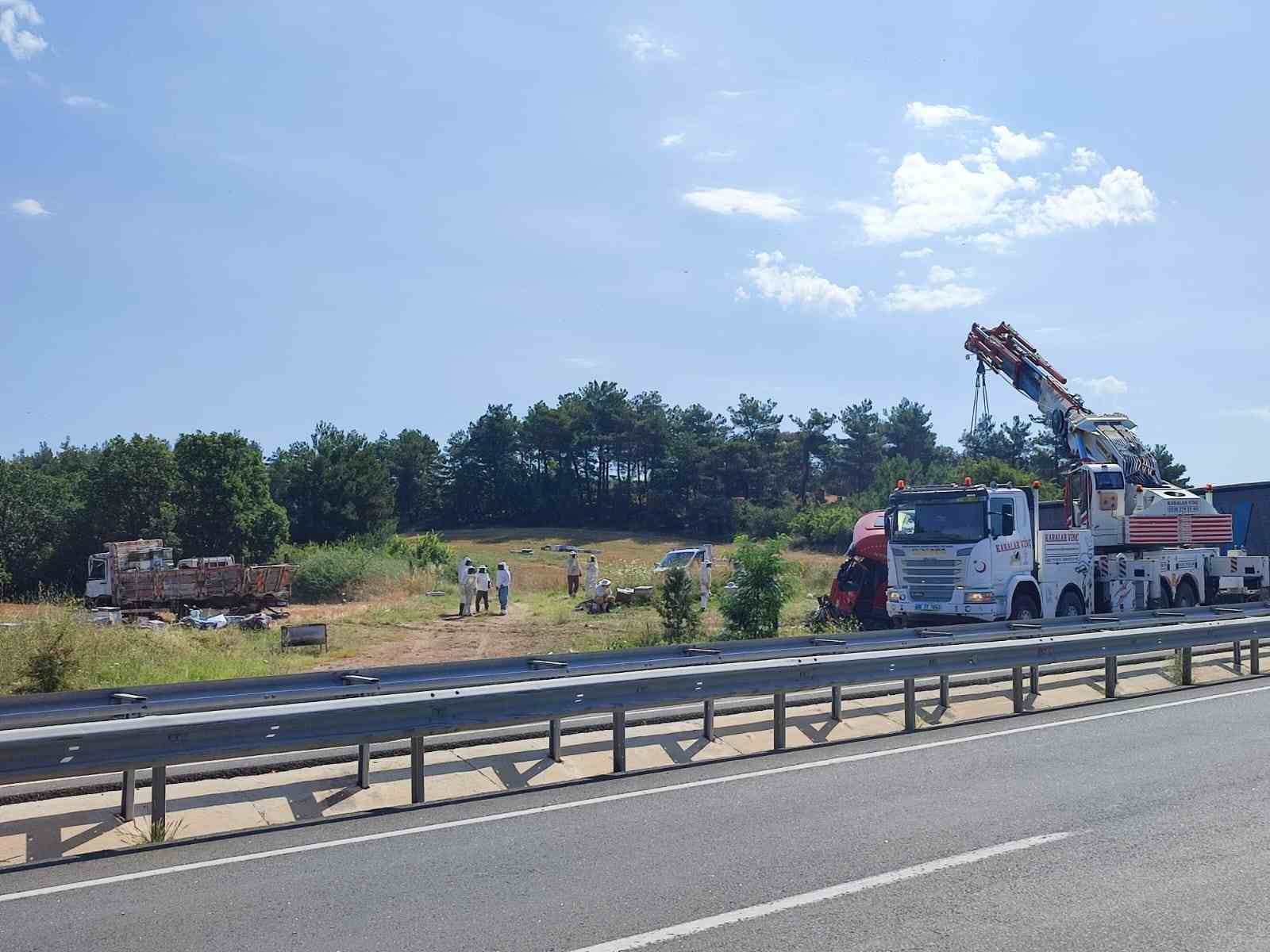 EDİRNE’NİN KEŞAN İLÇESİNDE TIR İLE ARI KOVANI TAŞIYAN KAMYONETİN KARIŞTIĞI
