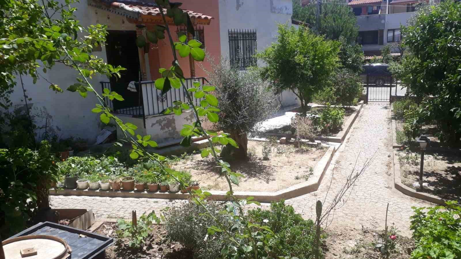 2 TİLKİ BU BAHÇEYE KADAR İNDİ.