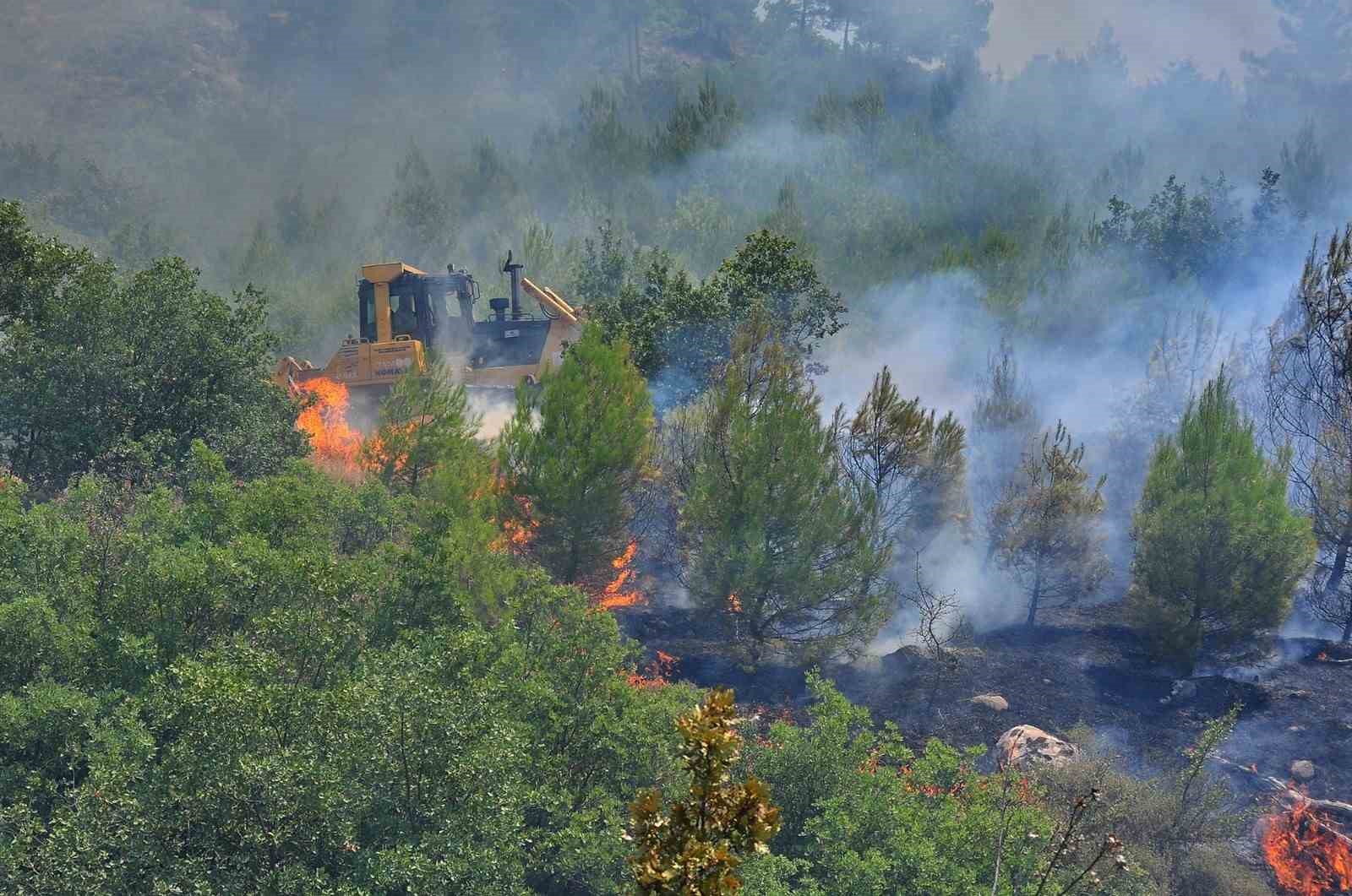 SON GÜNLERDE ÜLKE GENELİNDE YAŞANAN AŞIRI SICAKLARDAN DOLAYI ARTAN ORMAN