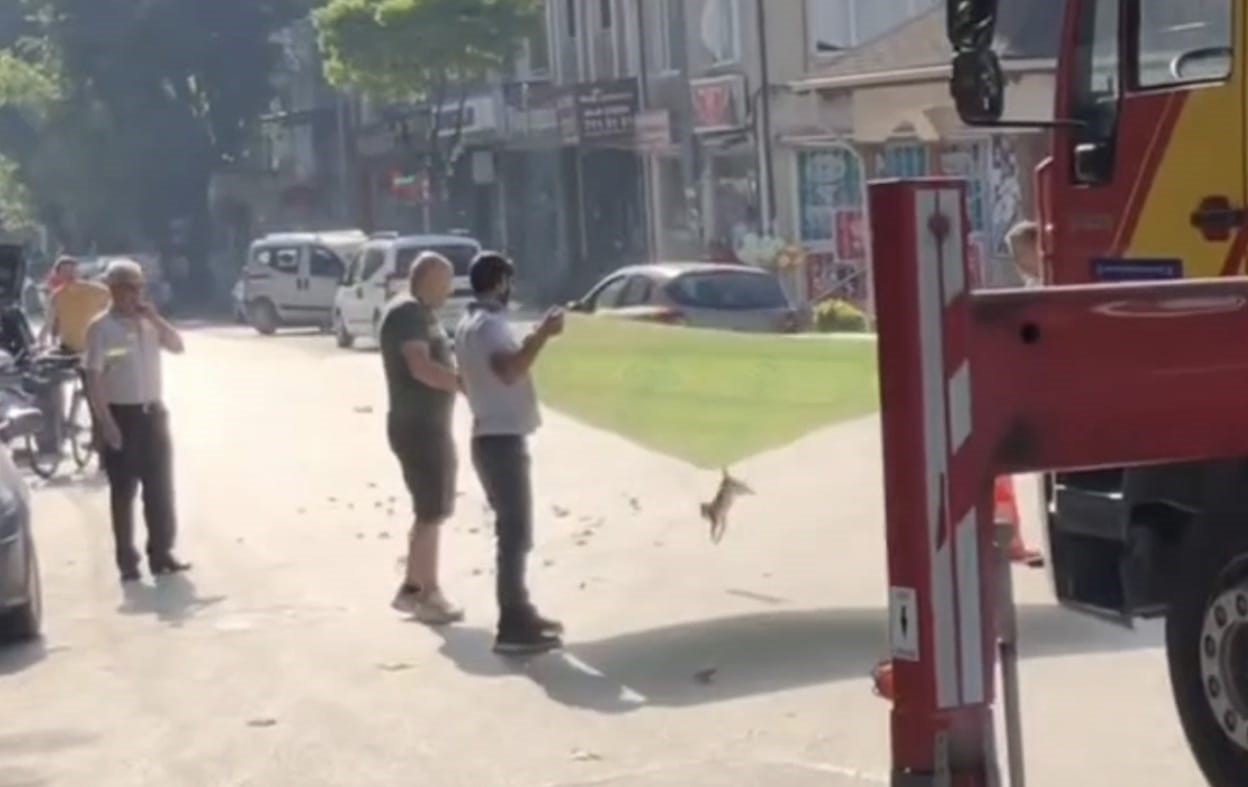 BURSA'NIN İNEGÖL İLÇESİNDE AĞACA ÇIKAN KEDİ, İTFAİYE EKİPLERİ İLE ESNAFLAR