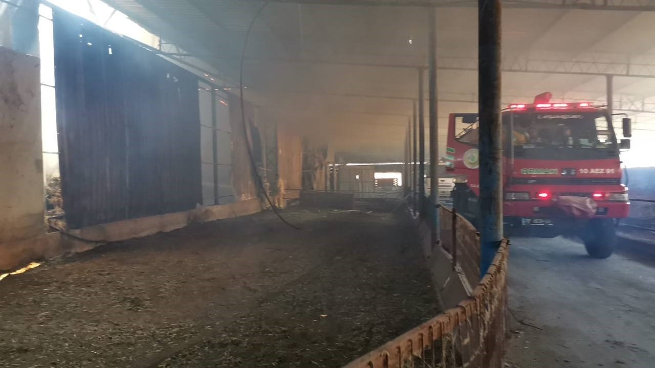 GÖNEN'DE BÜYÜKBAŞ HAYVAN ÇİFTLİĞİNDE YANGIN ÇIKTI