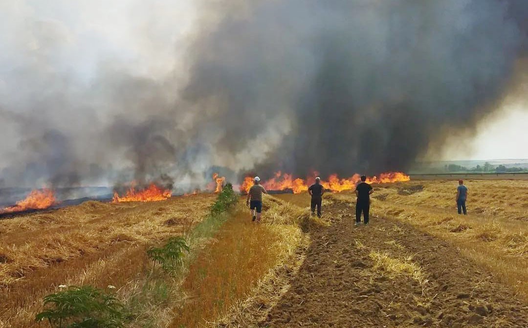 TEKİRDAĞ'IN HAYRABOLU İLÇESİNE BAĞLI DELİBEDİR MAHALLESİ TAŞLIK MEVKİİ'NDE YAKLAŞIK 12