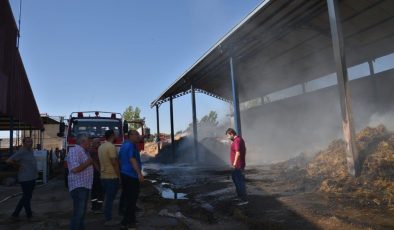 Hayvan çiftliğindeki saman yangını korkuttu