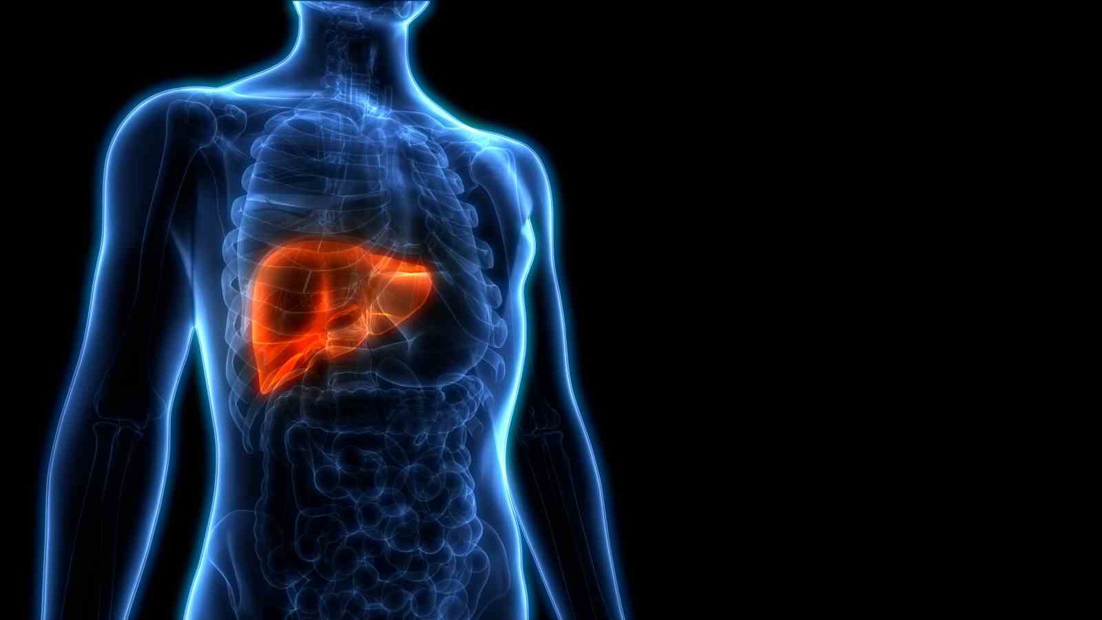 28 TEMMUZ DÜNYA HEPATİT GÜNÜNE ÖZEL AÇIKLAMALARDA BULUNAN DOÇ. DR.