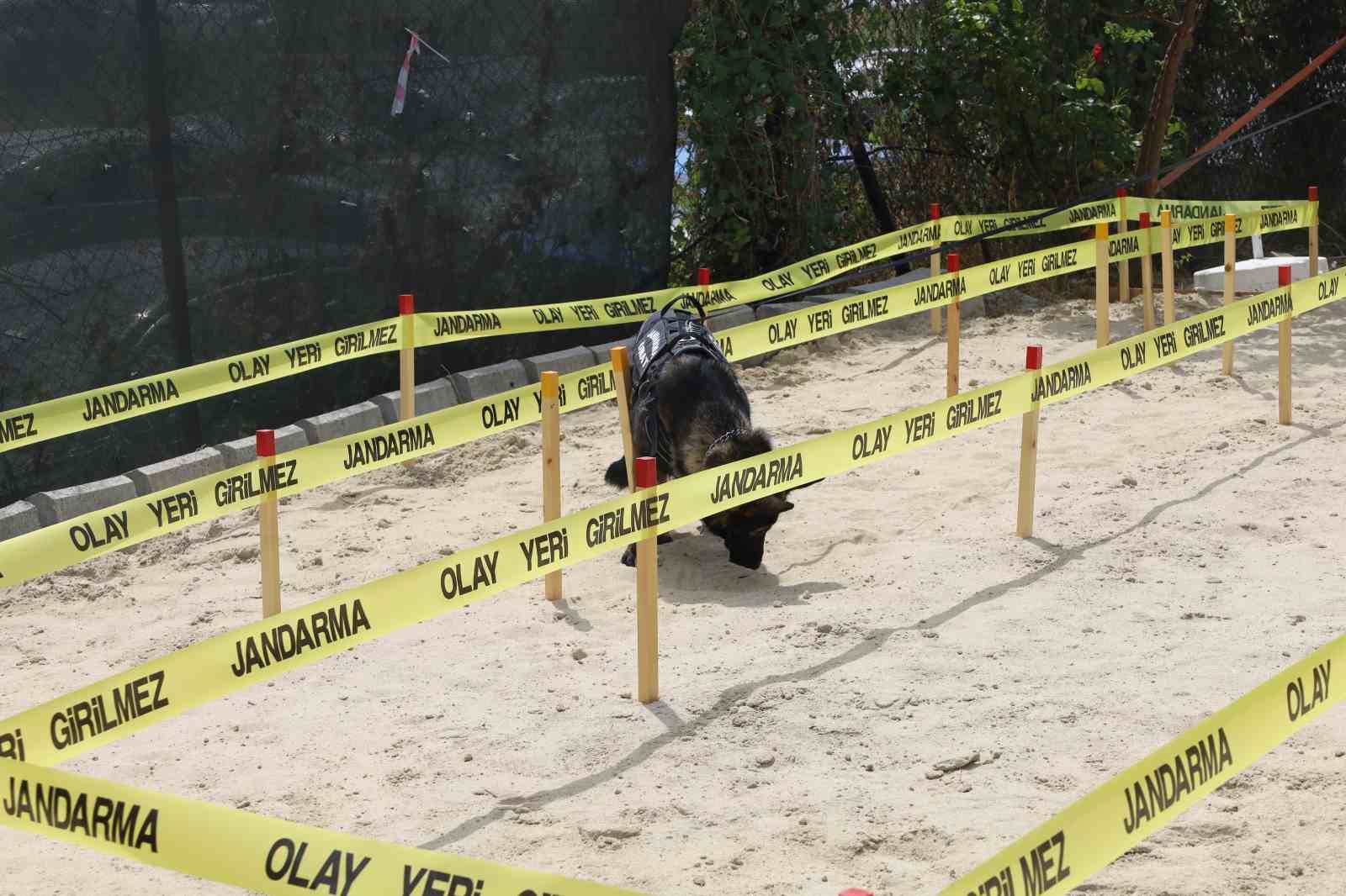 İDEF’TE MAYIN ARAMA KÖPEĞİ VİŞNE’NE SENARYO GEREĞİ KUMA GÖMÜLÜ MAYINI