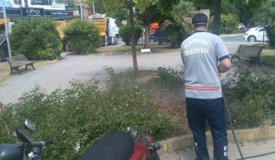 Karesi de ilaçlama 7/24 sürüyor