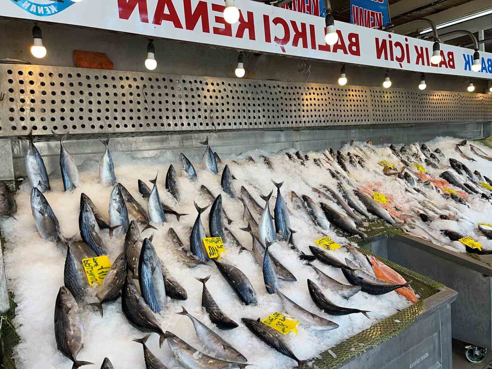 TÜRKİYE DENİZ CANLILARI MÜZESİ KURUCUSU KENAN BALCI, KIRMIZI ETE ARA
