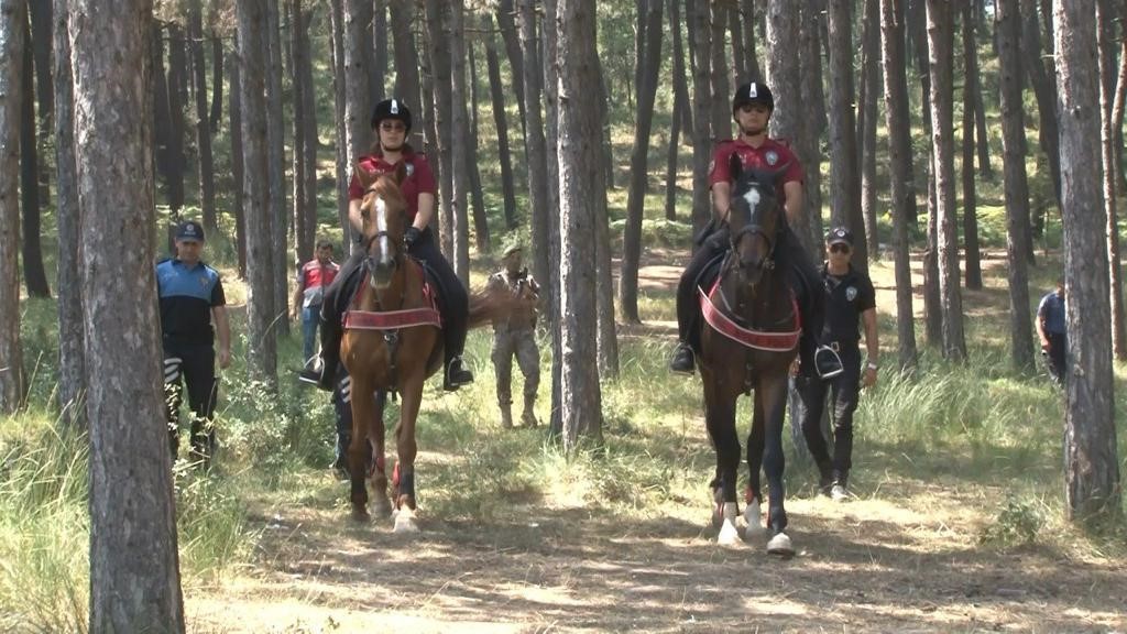İSTANBUL EMNİYET MÜDÜRLÜĞÜNCE, MALTEPE BAŞIBÜYÜK ORMANI'NDA VE MESİRE ALANLARDA YANGINLARA